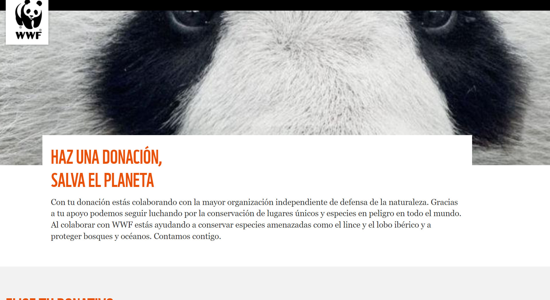 Imagen fuego